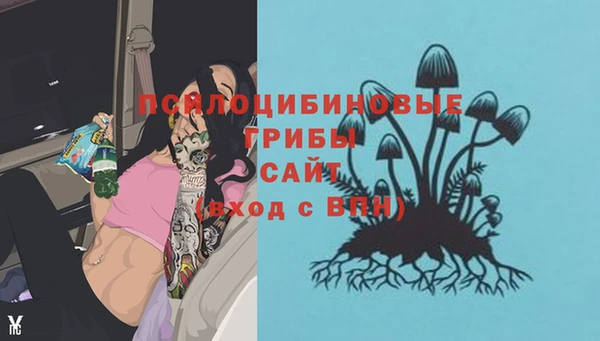 гидра Лиски