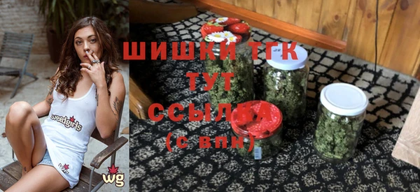 PSILOCYBIN Липки