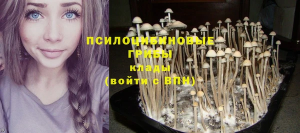 PSILOCYBIN Липки