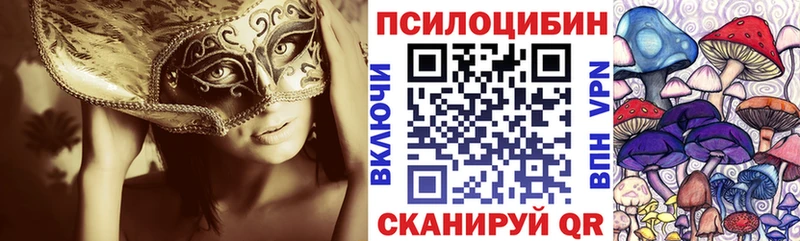 Купить закладки  Мамадыш  Галлюциногенные грибы Magic Shrooms 